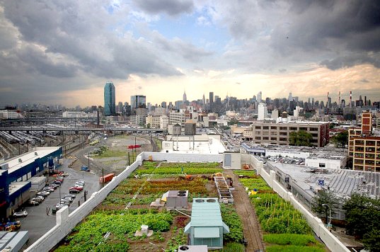 Découvre les fermes urbaines pendant ton stage aux usa !