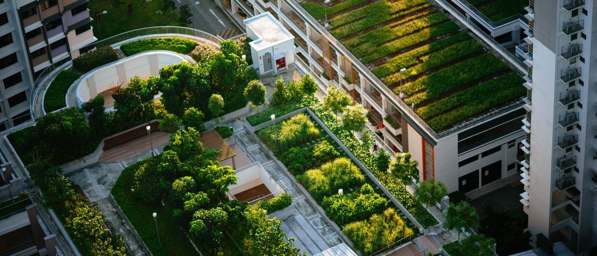 Découvre les fermes urbaines pendant ton stage américain