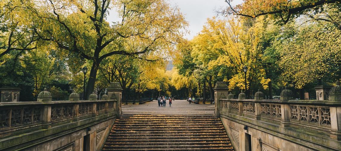 Quelles sont les villes les plus eco-friendly des Etats-Unis ?