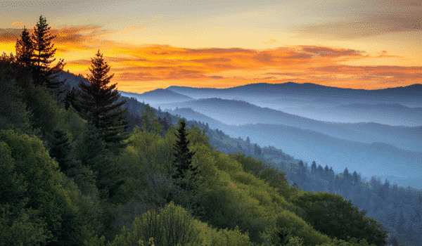 Stage usa : explore le Great Smoky Mountains National Park
