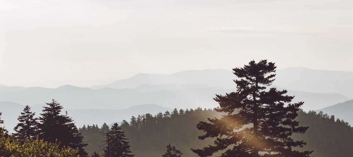 Stage aux USA : explore le Great Smoky Mountains National Park