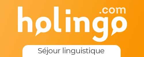 Logo Holingo
